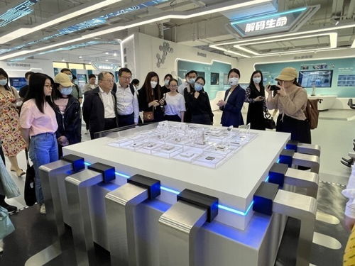 數(shù)字化成就點亮創(chuàng)新之路 上海市網(wǎng)絡(luò)文化協(xié)會參觀上海城市數(shù)字化轉(zhuǎn)型體驗館